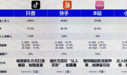 短视频平台营销模式